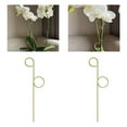 thumbnail image 3 of 4Pcs Plant Climbing Rack Sturdy Good Ventilating Metal Indoor Outdoor Potted Plants Flower Support Holder Daily Use, 3 of 8