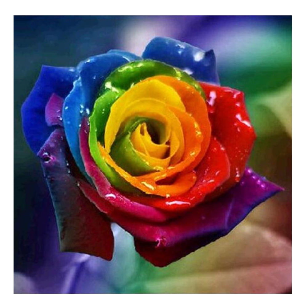 DIY 5D Diamond Painting Beauty Rose Hand Cross Crafts Stitch Kit Gift Decor 