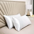 thumbnail image 1 of Funda de almohada de satén refrescante, funda de almohada de seda sintética de color liso, adecuada para cabello y piel, súper suave y fresca, similar a la funda de almohada de seda, funda de almohada, 1 of 6