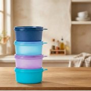 Tupperware Multicolour Plastic Food Storage & Container Set, 4 Count, 230 ml each Container