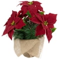 thumbnail image 3 of Northlight 13.5" Red Poinsettia with Pine Cones Artificial Christmas Floral Arrangement, 3 of 4
