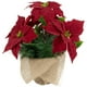 Northlight 13.5" Poinsettia Rouge avec des Pommes de Pin Arrangement Floral Artificiel de Noël – image 3 sur 4
