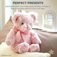 thumbnail image 3 of 12", Baby's First Teddy Bear Pink Plush Stuffed Animal, 3 of 3