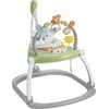 FEIFELY Jumperoo Baby Bouncer and Activity Center with Lights and Sounds, Astro Kitty SpaceSaver