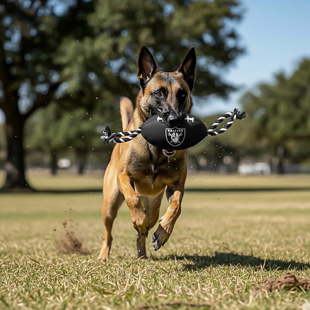 Juguete Balon con cuerda para perro NFL Las Vegas Raiders 100% oficial