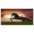 thumbnail image 3 of Design Art 'Black Friesian Horse Gallop' Graphic Art on Wrapped Canvas, 3 of 3