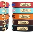 thumbnail image 5 of Pet Artist Personalized Dog Collar Soft Padded Braided Leather Custom Engraved Name ID Tags, 5 of 10