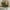 Dark Green, variant on Modern Nursery Rocking Chair, Upholstered Glider Chair with High Backrest, Rocker Accent Armchair with Solid Wood Legs for Nursery Bedroom Living Room