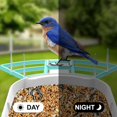 thumbnail image 6 of Smart Bird Feeder with Camera, AI Identify Bird Breed, Solar-Powered WiFi FHD 2K Live Camera, Auto Capture Backyard Garden Bird Watching, IP65,Motion Detection, Cloud and SD Card Storage, 6 of 7