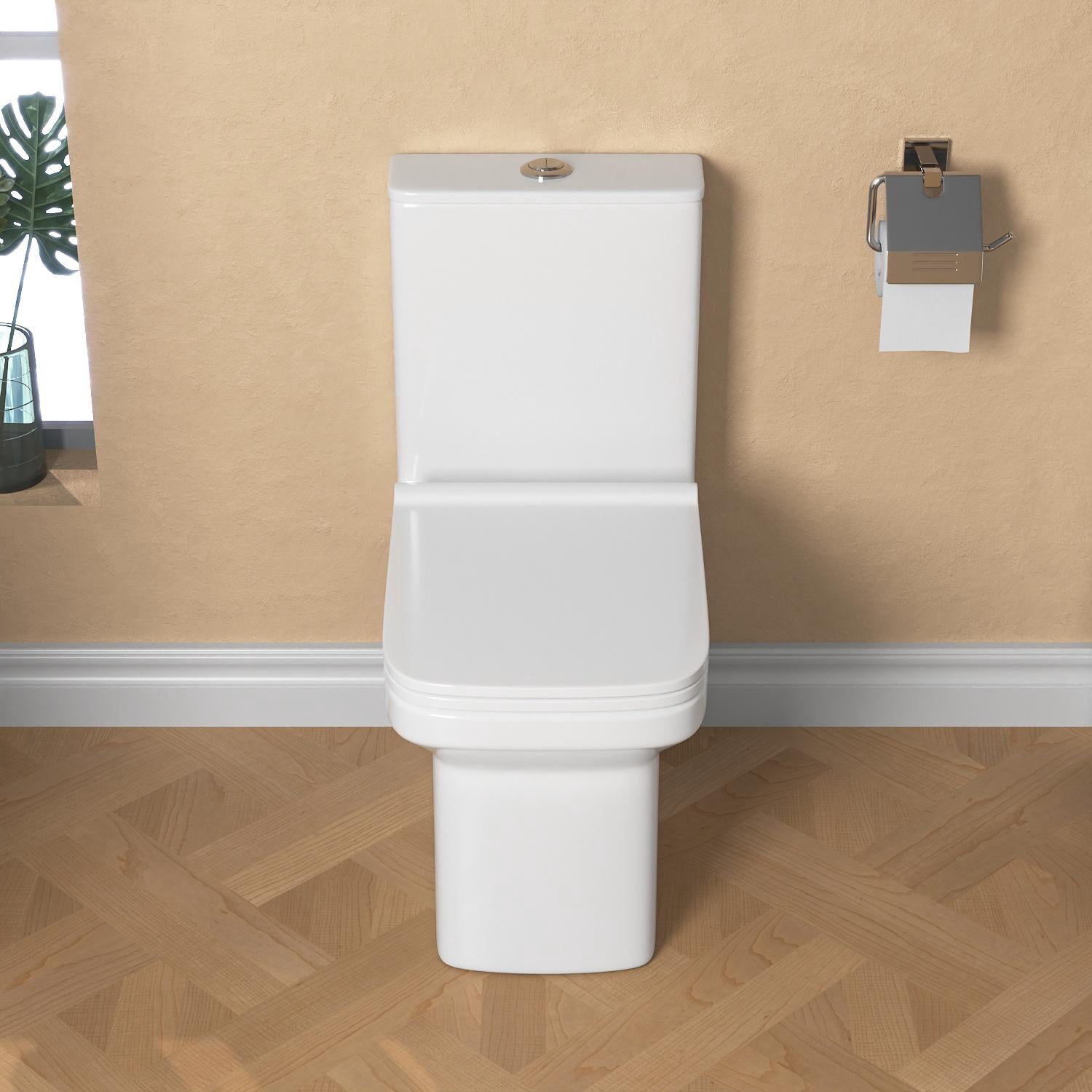 Ace One-Piece 0.8/1.28 GPF Dual-Flush Rectangular Floor Mounted Toilet in White (Seat Included)