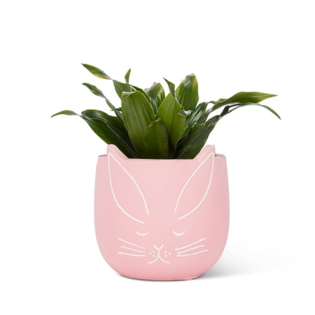 Set of 2 Small Bunny Planter
