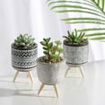 thumbnail image 4 of Teresa's Collections 3 Pcs Artificial Succulents Plants in Ceramic Pot for Table Decor Assorted Faux Succulents for Indoor Living Room Bedroom Decor, 4 of 11