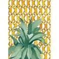 thumbnail image 3 of Bucheli, Jen 18x24 Black Modern Framed Museum Art Print Titled - Yellow Tile Agave, 3 of 5
