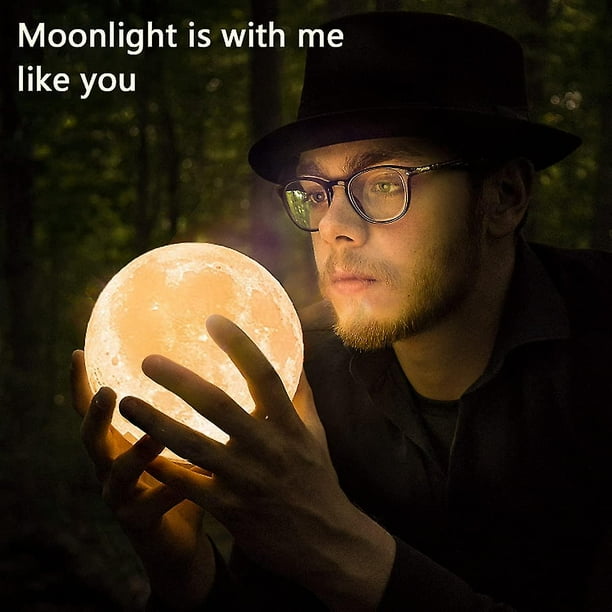 Lámpara de luna Luz de luna Luz nocturna para niños Regalo para mujeres Carga USB y control táctil Brillo Lámpara lunar blanca cálida y fría impresa en 3D (3,5 pulgadas Moo