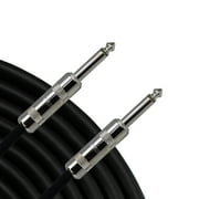 30' SPEAKER CABLE