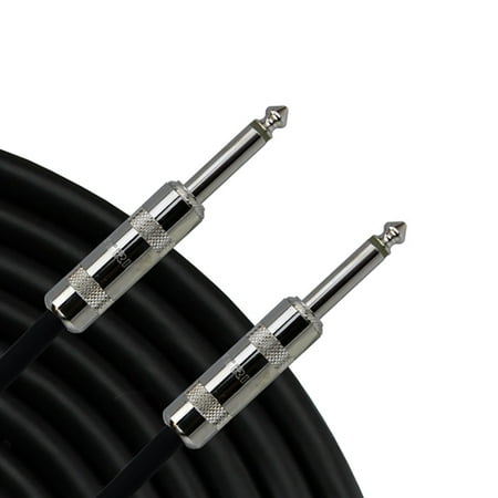 30' SPEAKER CABLE