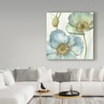 thumbnail image 3 of Trademark Fine Art 'My Greenhouse Flowers 2' Canvas Art by Lisa Audit, 3 of 3