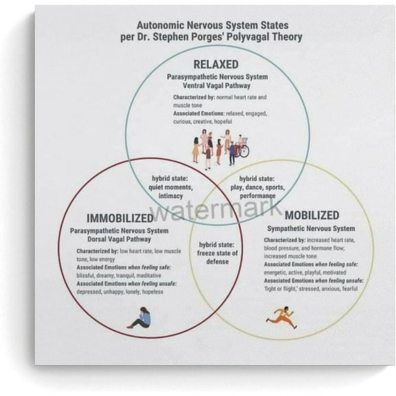 Polyvagal Theory Poster Trauma Recovery Posters Canvas HD Prints Art Wall Decor  Poster Print, Decor For Bedroom Living Room