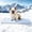 Blue, variant on GOOPAWS Dog Cooling Mat, 30" x 20" Non-Slip Self-Cooling Dog Bed Pads for Medium Dogs Summer Cooling Indoor Outdoor Kennel Floor Use