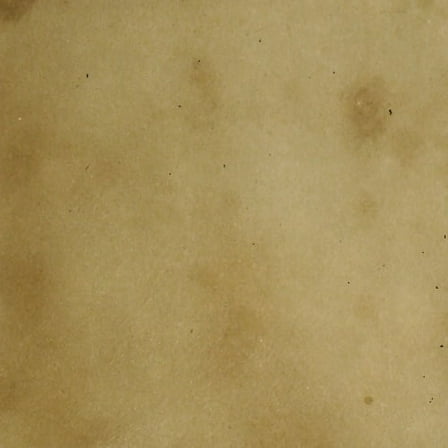 Concrete Acid StainSemi-Transparent Professional Grade Cement Stain (Mountain Road, 1 Gallon)