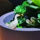 thumbnail image 1 of Estatuilla de decoración del hogar Sharpla estatua de resina en miniatura para jardín Estilo B, 1 of 8
