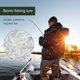 thumbnail image 4 of Toystoory 100 UNIDS Señuelo de Pesca Gusano Realista Gusano Grub Cebo Cebo Artificial de Silicona Cebos de Lombriz Olor Camarón Aditivo Bass Carp Pescar blanco Toystoory OD000536-01, 4 of 6