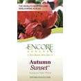 thumbnail image 6 of Encore Azalea Autumn Sunset (2 Gallon) Purple Flowering Shrub - Full Sun Live Outdoor Plant, 6 of 8