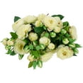 thumbnail image 6 of Northlight Real Touch™ White Artificial Camellia Rose Floral Sprays, Set of 6 - 23", 6 of 9