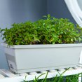 thumbnail image 5 of Mutably Rectangular Window Box Modern Decorative Planter Pot for All House Plants Flowers African Violets Succulents ( Light Grey ), 5 of 10