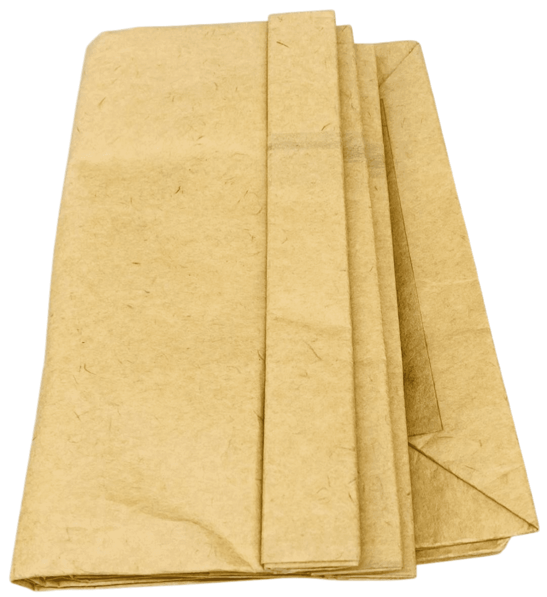Bissell Bags for Zing Canister Vacuum - Thumbnail 3