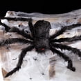 thumbnail image 3 of 150 Black Spider + 12 Círculos 5 Metros Black Web Adepaton WMZL-2148, 3 of 5