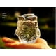 thumbnail image 2 of Florero Hidropónico Paisaje Contenedor De Terrario De Bricolaje Gloria Florero hidropónico de flores de vidrio, 2 of 8