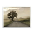 thumbnail image 4 of Stupell Industries Lone Tree Quiet Morning Road Rural Landscape Photograph White Framed Art Print Wall Art, Design by Lori Deiter, 4 of 5