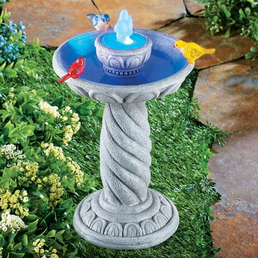 Do Crows Like Bird Baths: Surprising Facts You Must Know