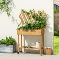 Elegant Raised Garden Bed on Wheels, Rolling Planter Boxes with Trellis