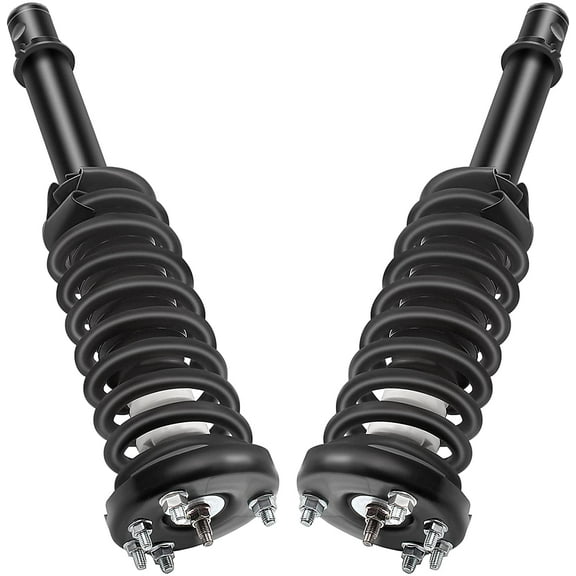 ECCPP Front Pair Fits Honda Accord 2003-2007 Complete Struts & Coil Springs Assemblies