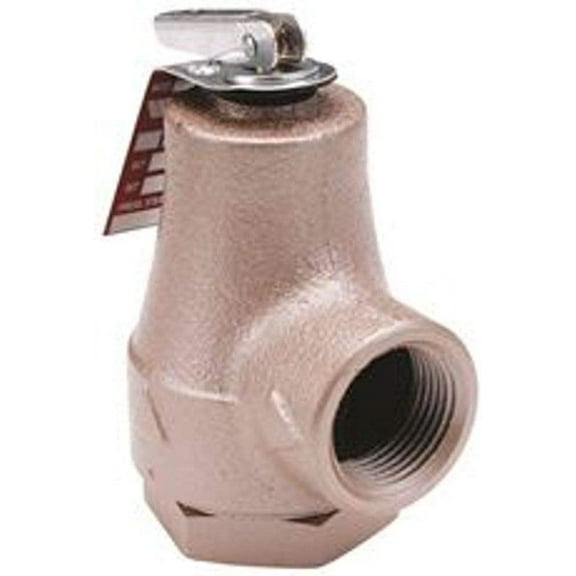 Watts Boiler Relief Valve - Pressure Relief Valve, 30 Lb - 3/4 In.