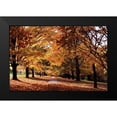 thumbnail image 2 of Hausenflock, Alan 14x11 Black Modern Framed Museum Art Print Titled - Maymont Maples II, 2 of 5