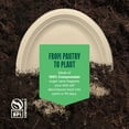 thumbnail image 4 of 100% Compostable Oval Paper Plates [50-Pack] - {PFAS-Free} - {BPI Certified} - [12 Inch] Heavy Duty, Eco-Friendly, Biodegradable Bagasse Platters - Natural Brown 12" Oval Platter Plates by, 4 of 5