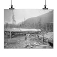 thumbnail image 2 of Print: Drying Salmon, circa 1900, 2 of 4