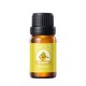 thumbnail image 1 of Fiudx Ofertas Y Liquidación Aceite Esencial De Extracto De Planta, Aceite Esencial De Aromaterapia De Ajenjo Para Masaje Gua Sha, 10Ml, 1 of 3