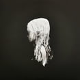 thumbnail image 1 of Clann : Seelie (2vinyl 180g), 1 of 1