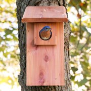 Pennington Classics Cedar Bluebird House With Predator Guard
