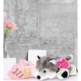 thumbnail image 6 of DolliBu Happy Mother's Day Super Soft Plush Sitting Floppy Husky Figure - Cute Stuffed Animal with Pink Heart Message for Best Mommy, Grandma, Wife, Daughter - Cute Dog Pet Plush Toy Gift - 7.5" Inch, 6 of 6