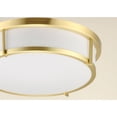thumbnail image 5 of Maxim Rogue 17" Wide Modern White and Satin Brass LED Ceiling Light, 5 of 6