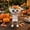 D, variant on Sruoe Halloween Mummy Boy Holding Pumpkin Candy Bowl Set - Suitable for Holiday Decorations