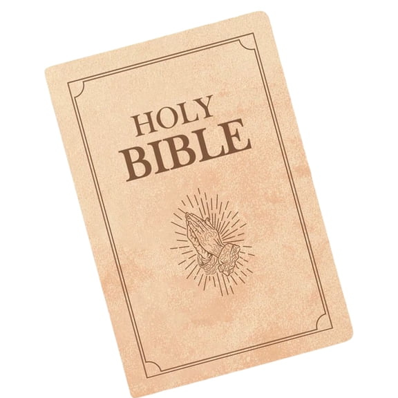 Bible Book Pillow Spiritual Companion Safe Hypoallergenics Cushions For Bed Sofa Decoration For Meditation