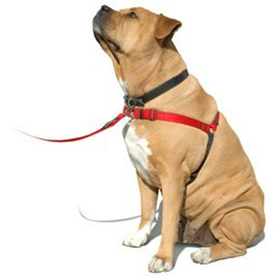 SENSE-ation No-Pull Dog Harness - Red, Large (Wide) Softouch Concepts SENSE-ation No-Pull Dog Harness - Red, Large (Wide) Softouch Concepts