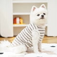 thumbnail image 5 of NovaStitch Pet Dog Sweater Striped Winter Puppy Clothes for Small Dogs Cats Warm Dog Knitwear Outfits Doggy Knitted Clothing Gray XL, 5 of 6