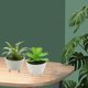 thumbnail image 3 of 2 uds simulación de flores falsas suculentas bonsái pequeños adornos creativos plantas verdes artificiales, 3 of 5